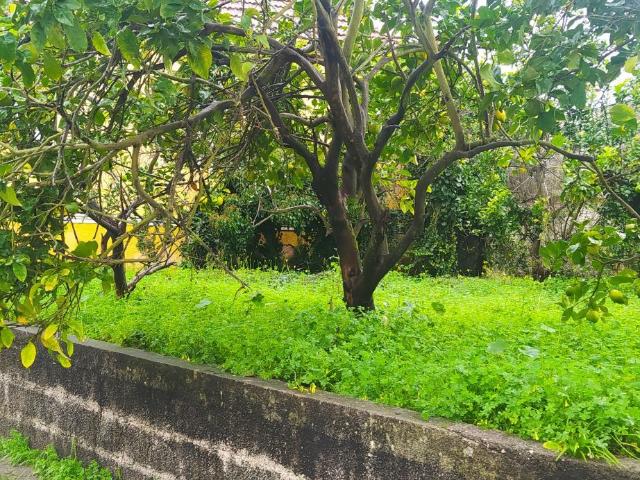 Terreno para construção de uma ou duas moradias