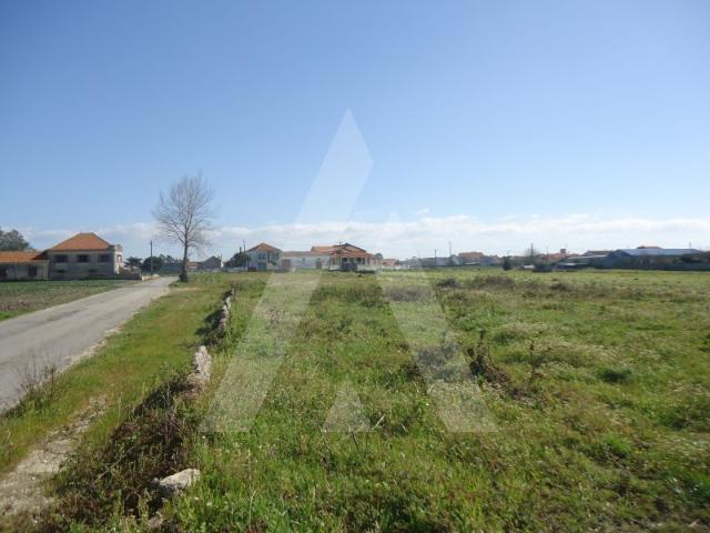 Terreno para construção de 11 moradias nas Quintãs, Aradas!