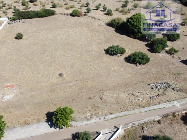 Terreno para construção de 12 moradias com projeto aprovado Brejos Elvas