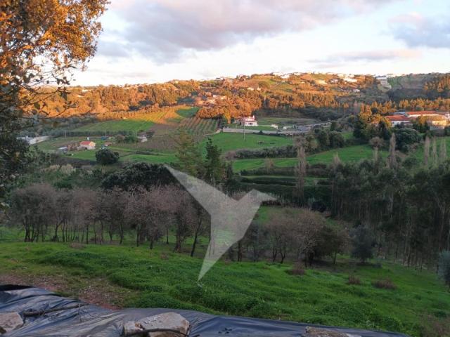 Terreno para Construção de 3 Moradias | Região de Alcobaça