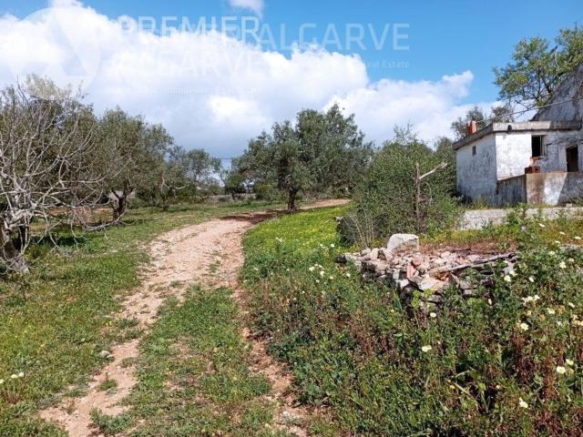 Terreno para construção de 9780m2
