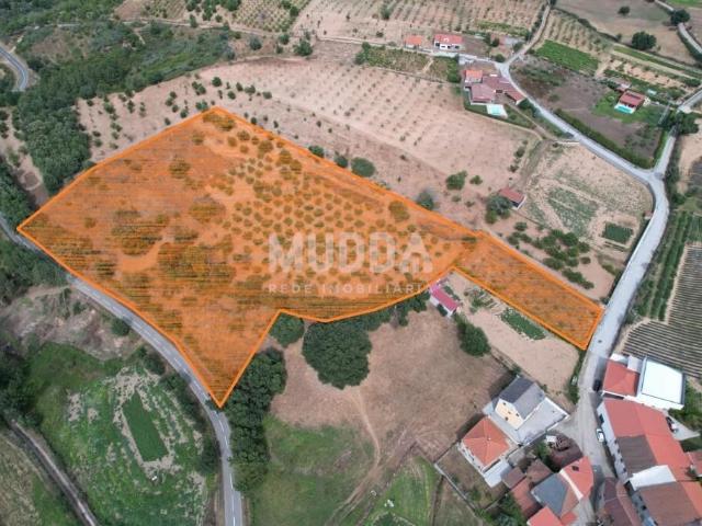 Terreno para Construção e Agrícola em Coelhoso