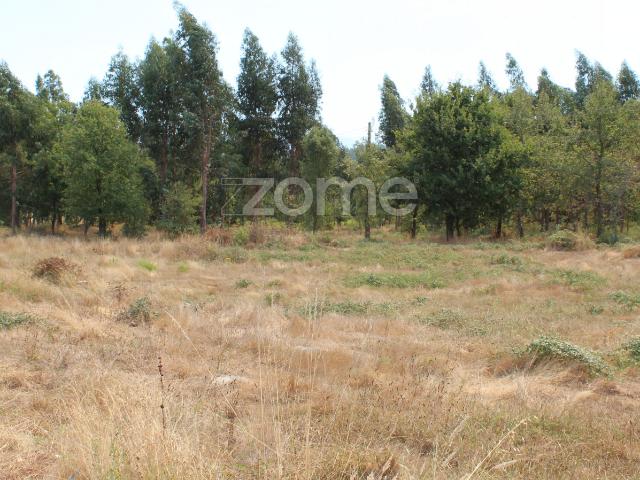 Terreno para construção e exploração agrícola em Paranhos da Beira