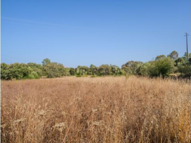 Terreno para construção e lazer