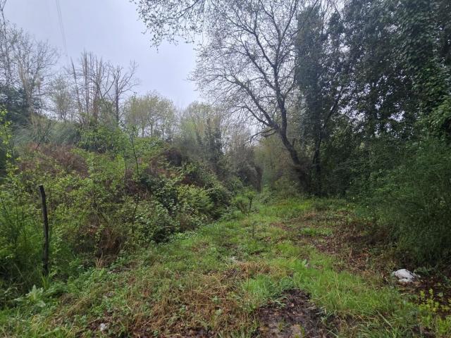 Terreno para construção em Macinhata Seixa!