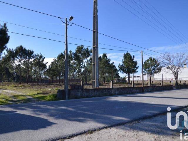 Terreno para construção em Marinha Grande