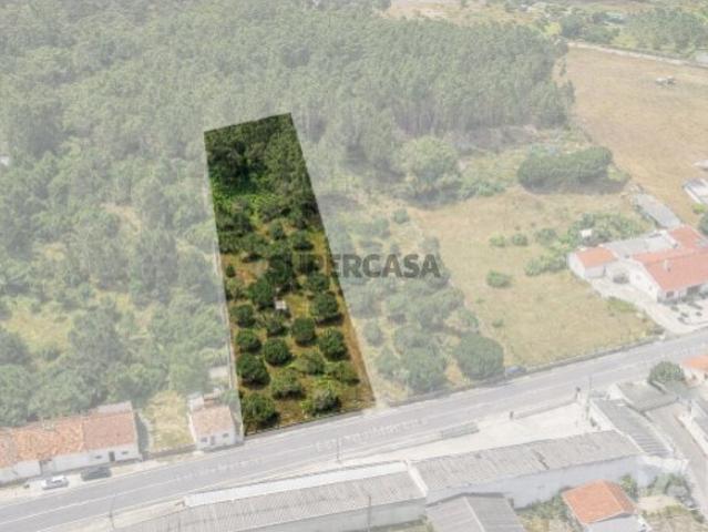Terreno para construção em Marinha Grande