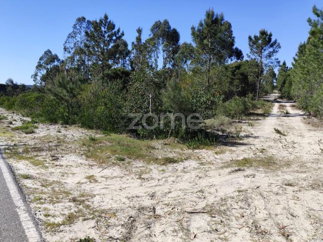 Terreno urbano em Melides