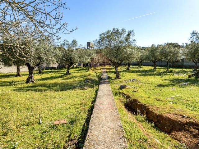 Terreno para construção em Minde, Alcanena