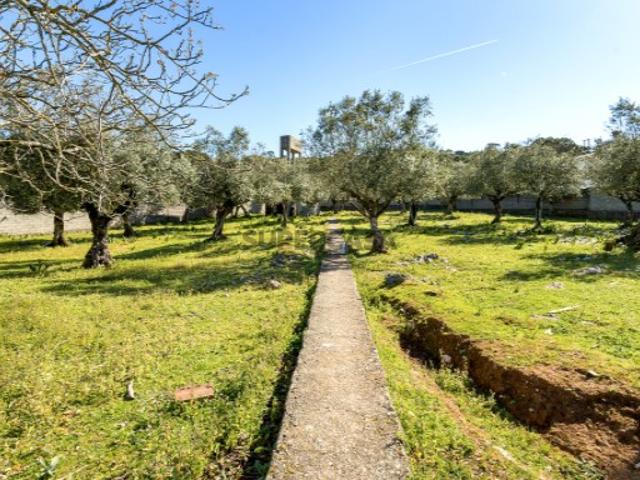 Terreno para construção em Minde, Alcanena