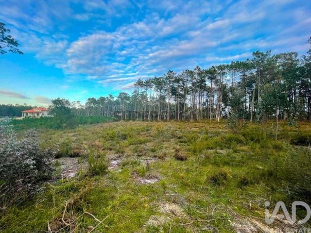 Terreno para construção em Monte Redondo e Carreira de 3030,00 m²