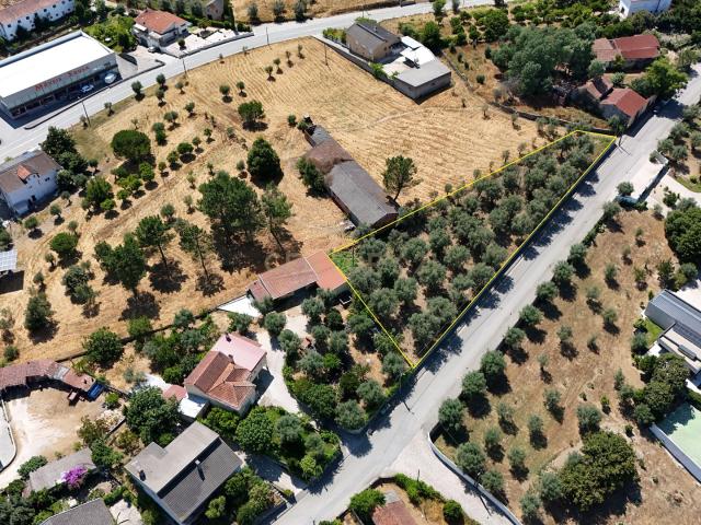 Terreno para construção em Nelas