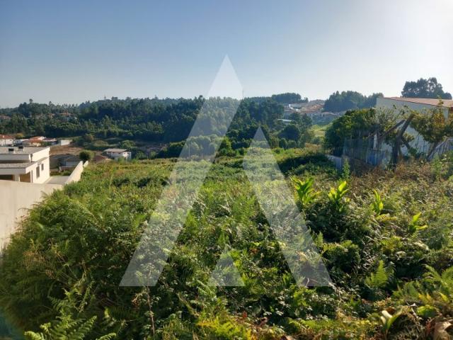 Terreno para construção em Nogueira de Regedoura, Santa Maria da Feira