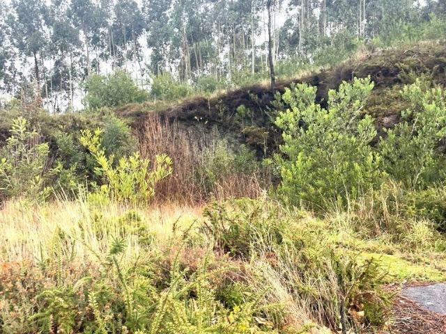 Terreno para construção em Outeiro