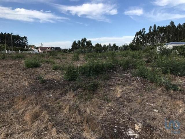 Terreno para construção em Ovar, São João, Arada e São Vicente de Pereira Jusã de 2680,00 m²