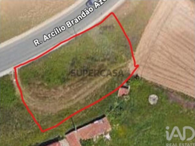 Terreno para construção em Oliveira de Azeméis, Santiago de Riba Ul, Ul, Macinhata da Seixa e Madail