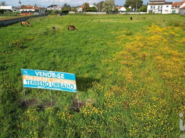 Terreno para construção em Oliveirinha de 9007,00 m²