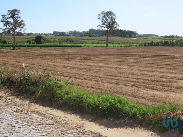 Terreno para construção em Aveleda de 21000,00 m²