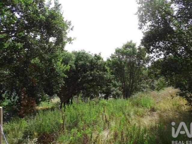 Terreno para construção em A dos Negros