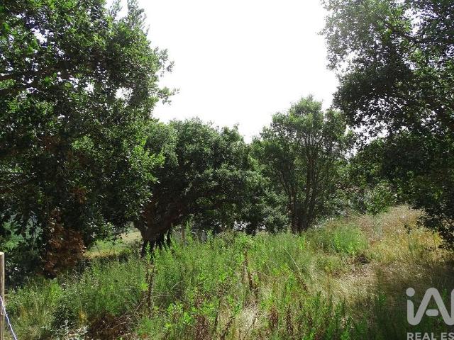 Terreno para construção em A dos Negros