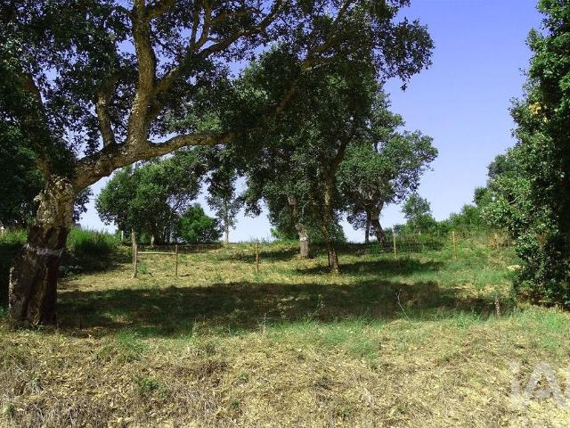 Terreno para construção em A dos Negros