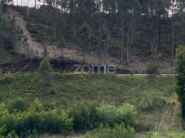 Terreno para Construção | Em Águeda