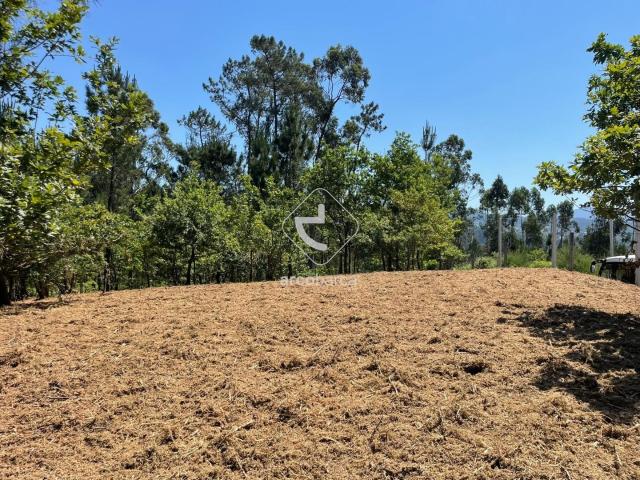 Terreno para construção em Aguiã, Arcos de Valdevez