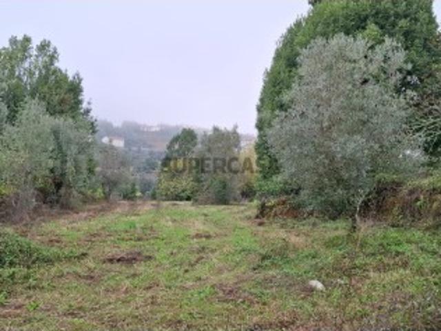 Terreno para construção em aldeia próximo de Coimbra