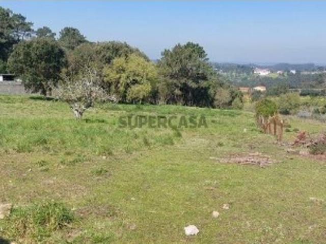 Terreno para construção em Aljubarrota