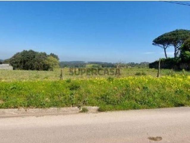 Terreno para construção em Aljubarrota