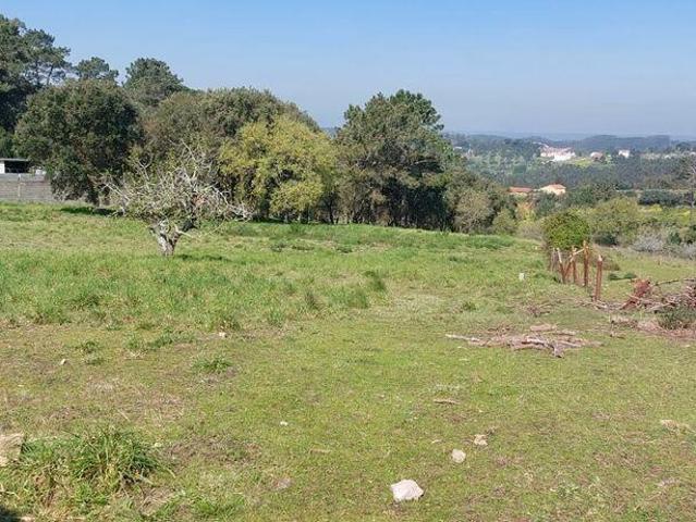 Terreno para construção em Aljubarrota