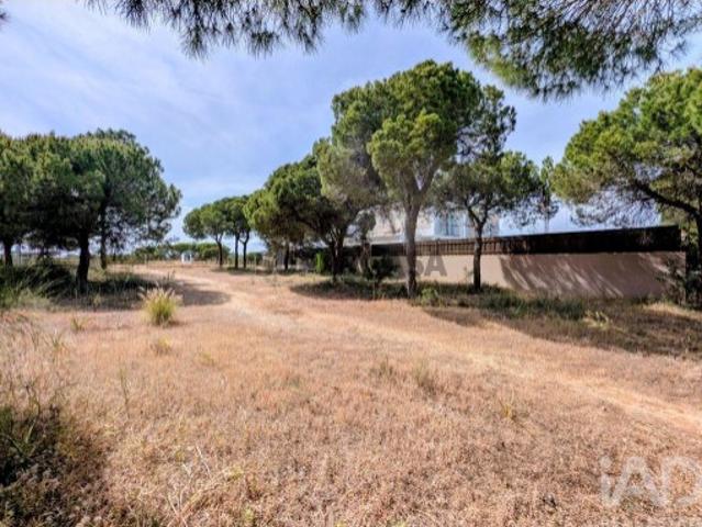 Terreno para construção em Almancil de 890,00 m²