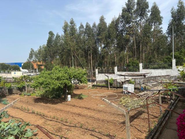 Terreno para Construção em Altura – Entroncamento