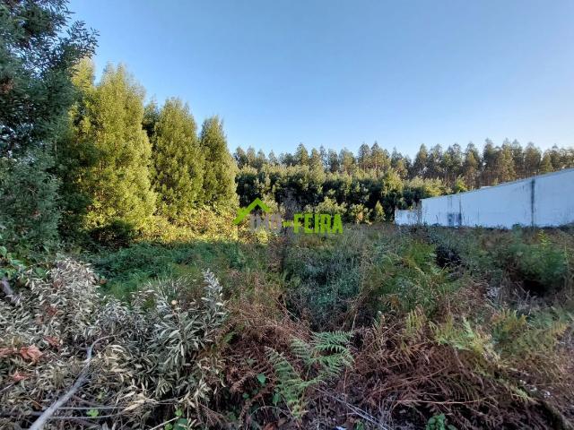 Terreno para construção em altura, Santa Maria da Feira