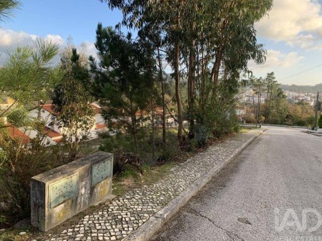 Terreno para construção em Ansião