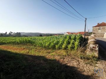 Terreno para construção em Antas de 4675,00 m²