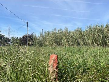 Terreno para construção em Antas, Esposende