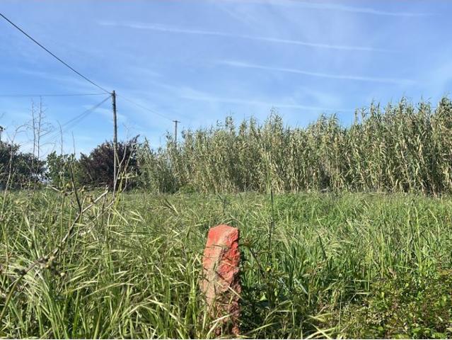 Terreno para construção em Antas, Esposende