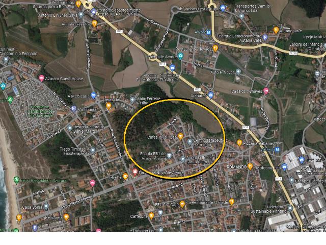Terreno para construção em Árvore