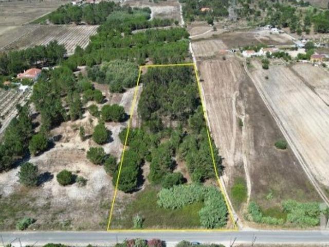 Terreno para construção em Benavente de 16390,00 m²