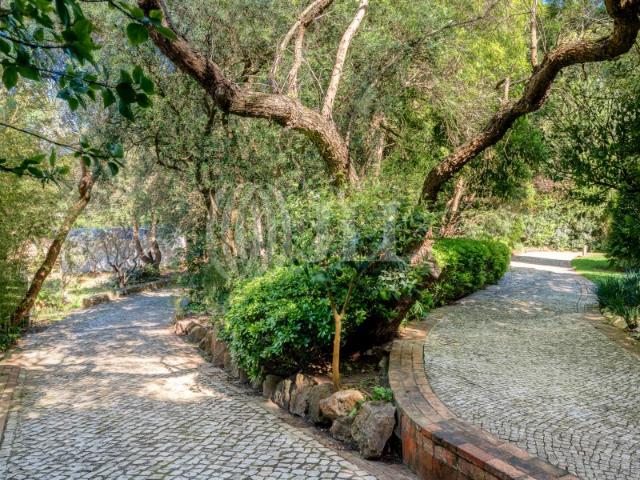 Terreno para construção em Birre