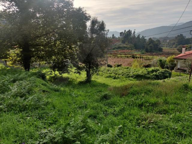 Terreno para construção, em Brandara