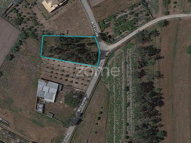 Terreno para construção em Caniceira
