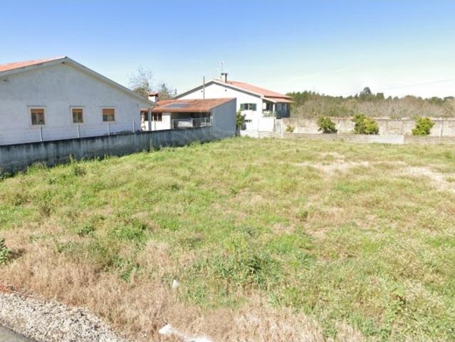 Terreno para construção em Cantanhede