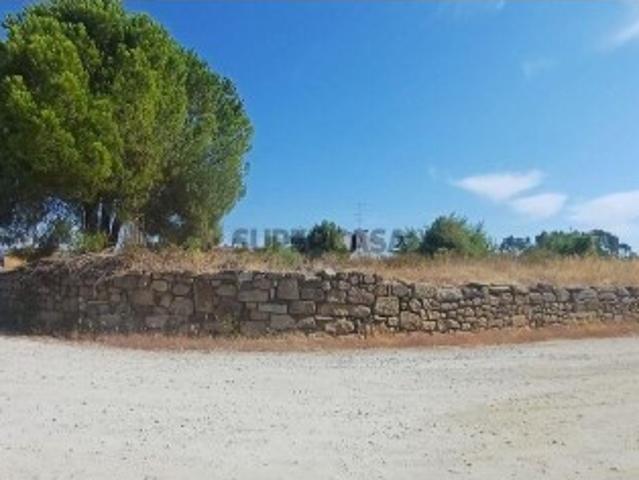 Terreno para construção em Castelo Branco