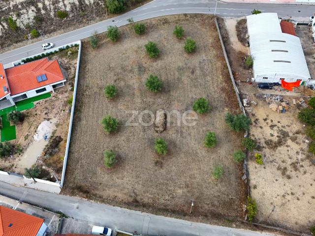 Terreno para construção em Cernache
