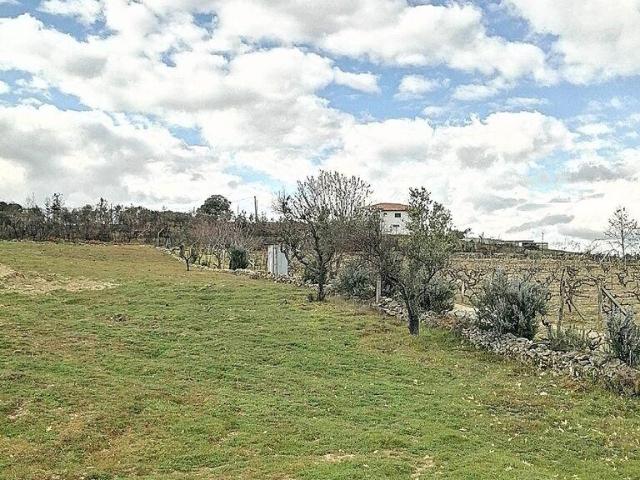 Terreno para construção em Ervededo de 9600,00 m²