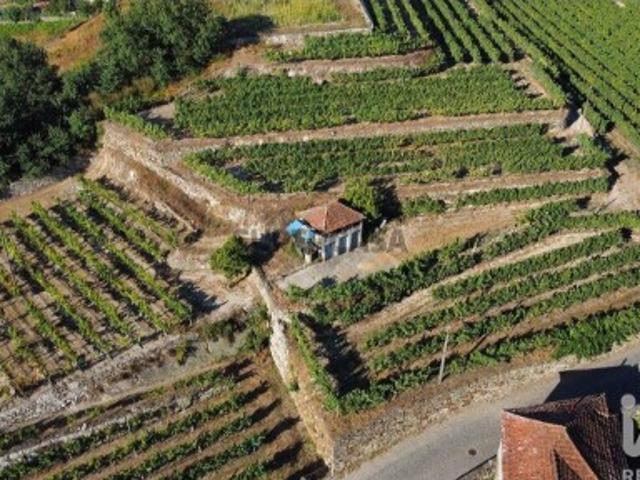 Terreno para construção em Figueiró