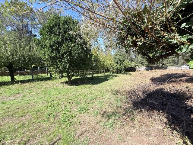 Terreno para Construção em Forjães, com 2350m2