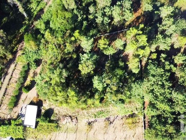 Terreno para construção em Forjães de 2351,00 m²